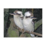 Kookaburras post card