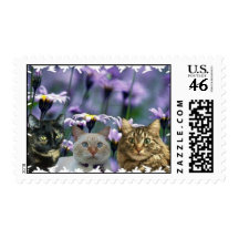 KOOL KATZ-2 US POSTAGE