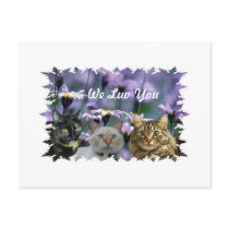 KOOL KATZ, We Luv You postcards by pintobin2 KOOL KATZ, We Luv You postcards