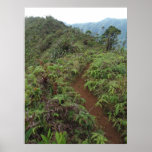 Ko'olau Mountain Ridge Path Posters