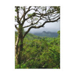 Koolau Mountains Gallery Wrapped Canvas