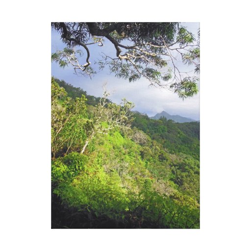 Koolau Mountains Gallery Wrapped Canvas
