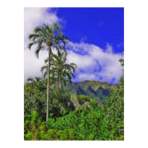 Koolau Mountains Posters