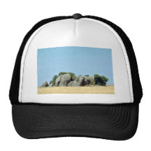 Kopjes on the Serengeti Mesh Hat