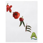 Korea Chili Peppers flyers