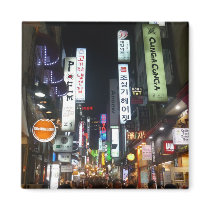 korea lights magnets