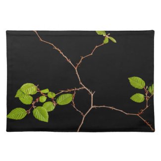 Korean Hornbeam bonsai placemat