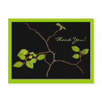 Korean Hornbeam bonsai thank you Postcards