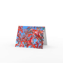 Korean Pear cards by shvaew Korean Pear cards