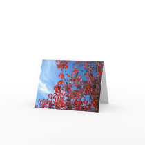 Korean Pear cards by shvaew Korean Pear cards