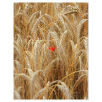 Kornblume letterhead by orange71 Kornblume letterhead