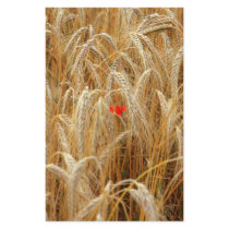 Kornblume stationery by orange71 Kornblume stationery