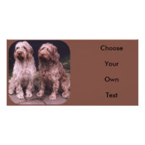 Korthals Griffon - presenting Tsjip and Sarah Custom Photo Card