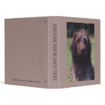 Korthals Griffon Sarah portrait Binders