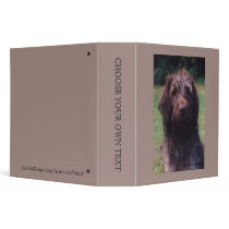 Korthals Griffon Sarah portrait 3 Ring Binders
