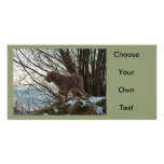 - Korthals Griffon -Tsjip pointing Photo Card Template