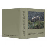 Korthals Griffon - Tsjip roaming the land Binders