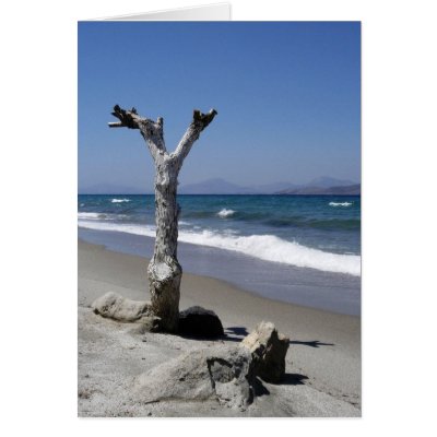 Kos tree greeting card by rdkiely