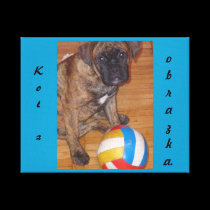 Kot z obrazka canvas prints