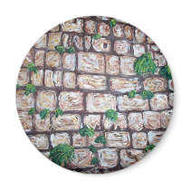 "Kotel" magnets