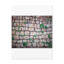 "Kotel" postcards