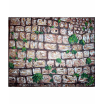 "Kotel" t-shirts
