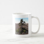 kotz shrub in alaska coffee mug
