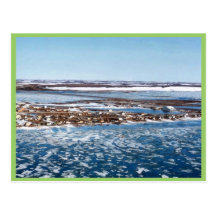 Kotzebue Post Cards