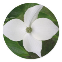 Kousa Dogwood Blossom stickers by grammasue319 Kousa Dogwood Blossom stickers