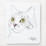 tablet pc | cat, kramer, drawing, tablet, cute, kitten, kitty, cat, kramer, drawing, tablet, cute, kitten, kitty,