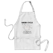 Krebs Cycle A.K.A. Citric Acid Cycle Tricarboxylic Apron