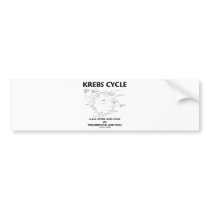 Krebs Cycle A.K.A. Citric Acid Cycle Tricarboxylic Bumper Sticker