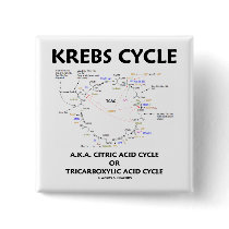Krebs Cycle A.K.A. Citric Acid Cycle Tricarboxylic Pin