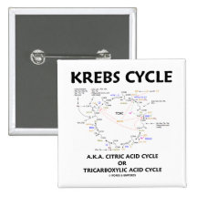 Krebs Cycle A.K.A. Citric Acid Cycle Tricarboxylic Pin