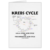 Krebs Cycle A.K.A. Citric Acid Cycle Tricarboxylic Greeting Card