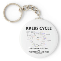 Krebs Cycle A.K.A. Citric Acid Cycle Tricarboxylic Keychains