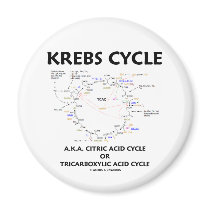 Krebs Cycle A.K.A. Citric Acid Cycle Tricarboxylic Fridge Magnet