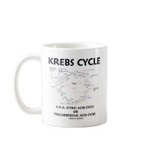 Krebs Cycle A.K.A. Citric Acid Cycle Tricarboxylic Mugs