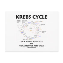 Krebs Cycle A.K.A. Citric Acid Cycle Tricarboxylic Post Card