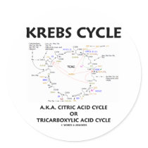 Krebs Cycle A.K.A. Citric Acid Cycle Tricarboxylic Round Sticker