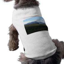 Kremmling Colorado Dog Clothes