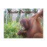 Krista Orangutan Fan Club merchandise Post Card