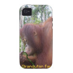 Krista Orangutan Fan casemate cases
