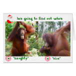 Krista Orangutan Holiday Rescue cards