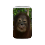 Krista Orangutan mugshot casemate cases