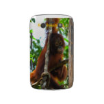 Krista Orangutan Official Fan Club Photo casemate cases