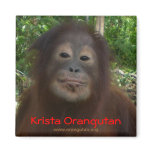 Krista Orangutan Orphan in Borneo magnets