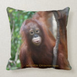Krista Orangutan pillows