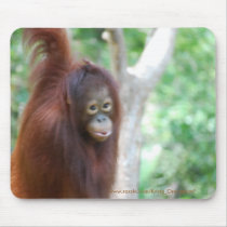 Krista Orangutan primate fan mousepad