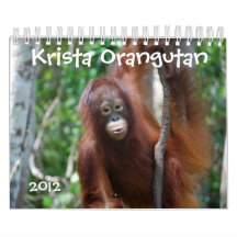 Krista Orangutan wildlife conservation Wall Calendars